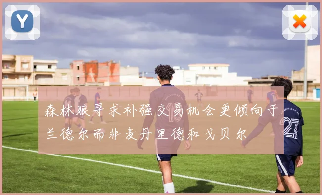森林狼寻求补强交易机会更倾向于兰德尔而非麦丹里德和戈贝尔