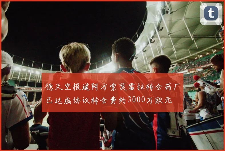 德天空报道阿方索莫雷拉转会药厂已达成协议转会费约3000万欧元