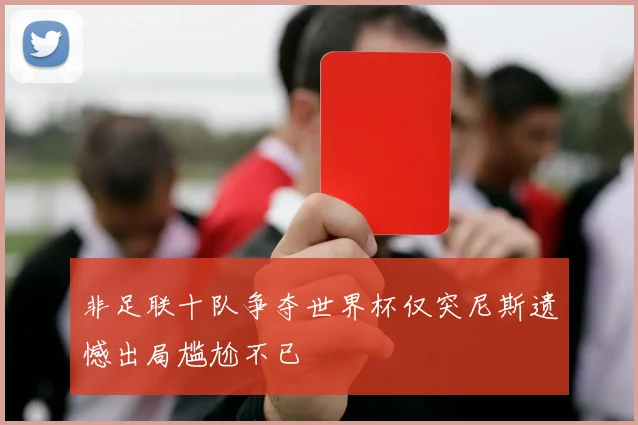 非足联十队争夺世界杯仅突尼斯遗憾出局尴尬不已