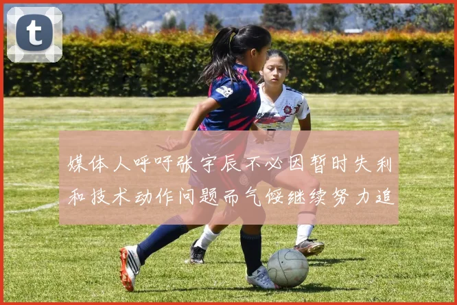 媒体人呼吁张宇辰不必因暂时失利和技术动作问题而气馁继续努力追梦